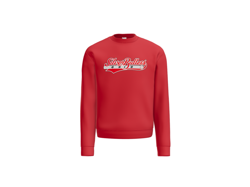 Champion $50 & Nike $75 - Silver Bullets sweatshirt(order by 8/14 for 8/28 completion)